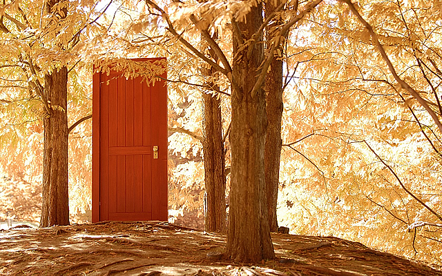 オリジナル木製室内ドア イメージ