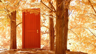 オリジナル木製室内ドア「リバーグリーン」